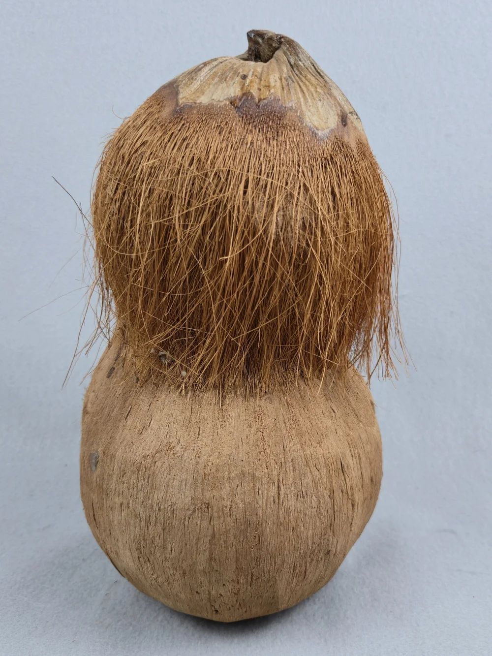 Vintage Carved Coconut Clown Figurine Tiki Folk Art Tropical SouvenirVintage